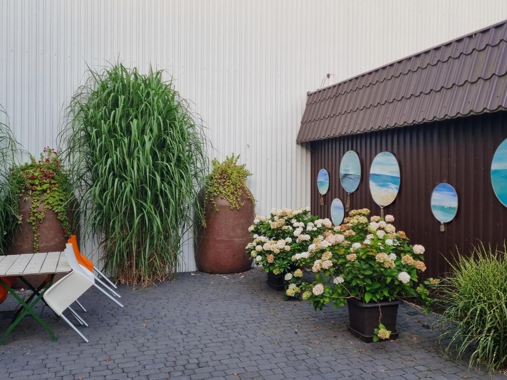 Comfortable Holiday Homes Close To Sea, Grzybowo Grzybowo  Exterior foto